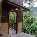 De Serenity - Exclusive Jungle Retreat