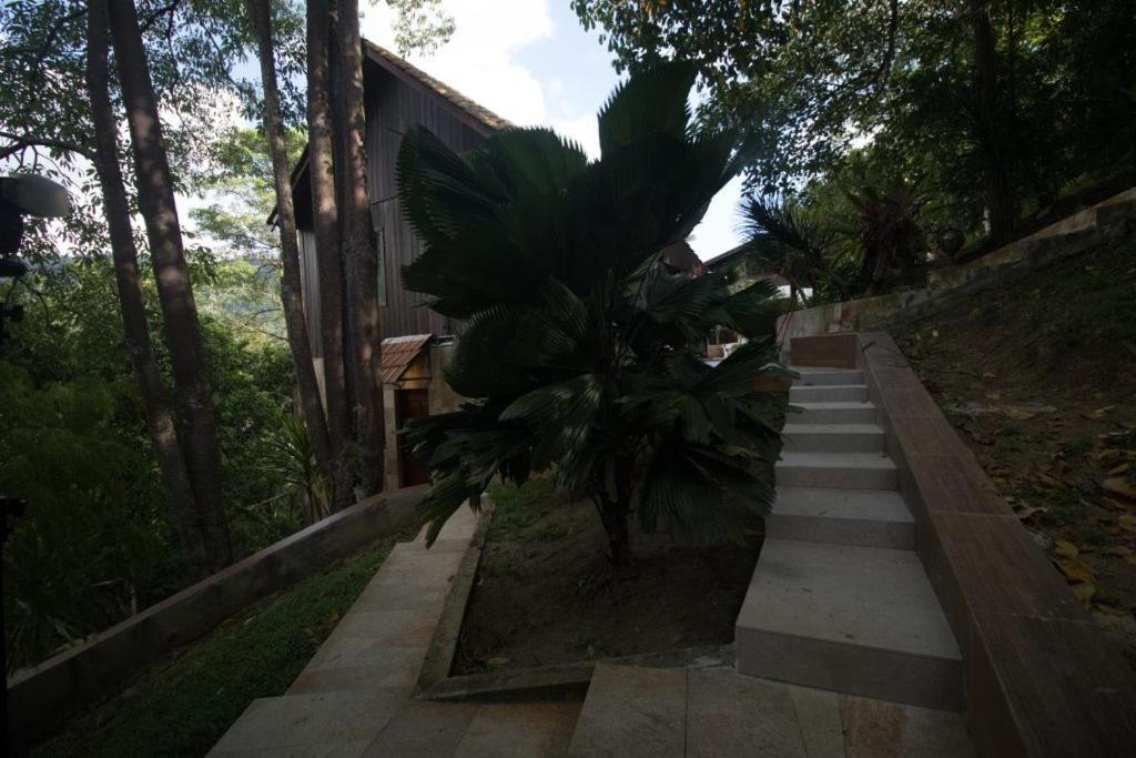 De Serenity - Exclusive Jungle Retreat Seremban