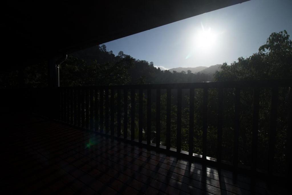 Katil De Serenity - Exclusive Jungle Retreat *